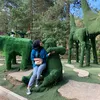 アニサちゃん
