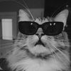mr.fluffpuff13