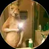 javieralexispadil3