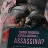 lais.santos544