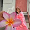 mayabipakhi462