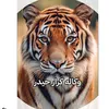 bnmohamedsalima