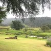yenhuong00x