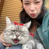 bihisayluv