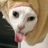 ohnoww_