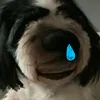 genii_28
