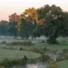 autumn.m.288