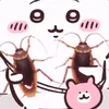 hanaolal