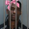 chiefql