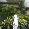 lima.hamid27