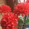 nnn_elye134