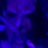 marcelus_the_demon