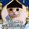 dimaspramudya12