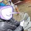 nobandzfr
