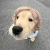 wr_ownmyam