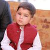 shafqatrasool604