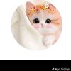 cutebaby096789