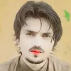 wwwhassanshah