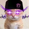 user886950347