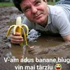 ionuttt007
