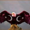 YALNIZ ADAM