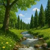 nergis_0712