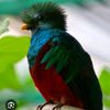 compartircom1