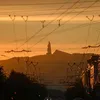 _redix_7