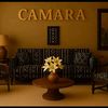 camaramj7