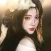 ˗ˏˋ phoenix ˎˊ˗