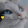 user3332038141524