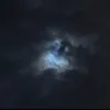 nemchuatiensinh
