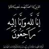 amira_elmoadab