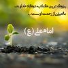 user81624500292940