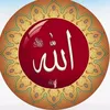 abohamza3347