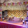 mian.bhatti786