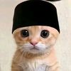 aditbilinggato
