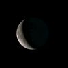sturgeon_0708