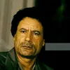 moalemsalh1