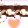 cip4nnn