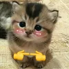 iam_huy08