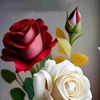 user6829315711312