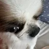 random_123990
