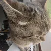 denda.uwu