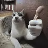 sskill_issue_