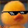 papera__