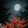 tabeen_hassan001
