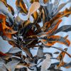 zeleke_21_24