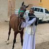 user8505905170411