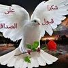 user9152408207213